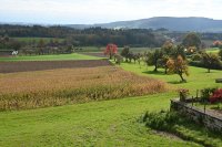 2025_limpach-pfarrstadel-004